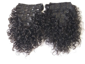 Raw Indian Curly Clip In Extensions