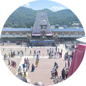 Luxury Raw Indian Hair Tour