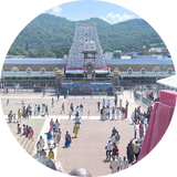 Luxury Raw Indian Hair Tour